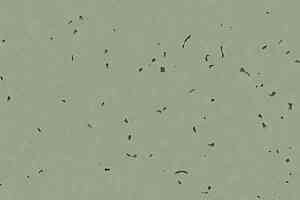 Линолеум Forbo Sphera Energetic 50236 thyme фото  | FLOORDEALER